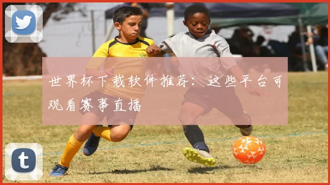 世界杯下载软件推荐：这些平台可观看赛事直播