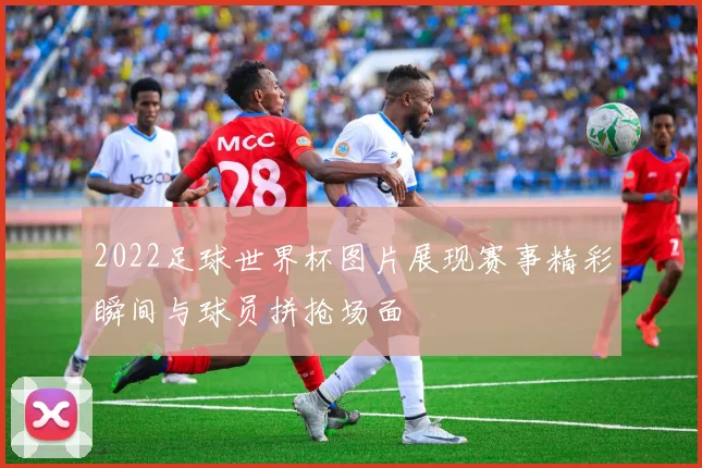 2022足球世界杯图片展现赛事精彩瞬间与球员拼抢场面